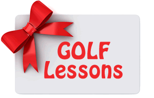 1 Hour Lesson With Shawn Marshall
